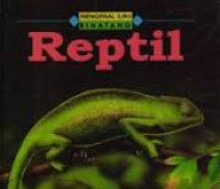 Image of Reptil